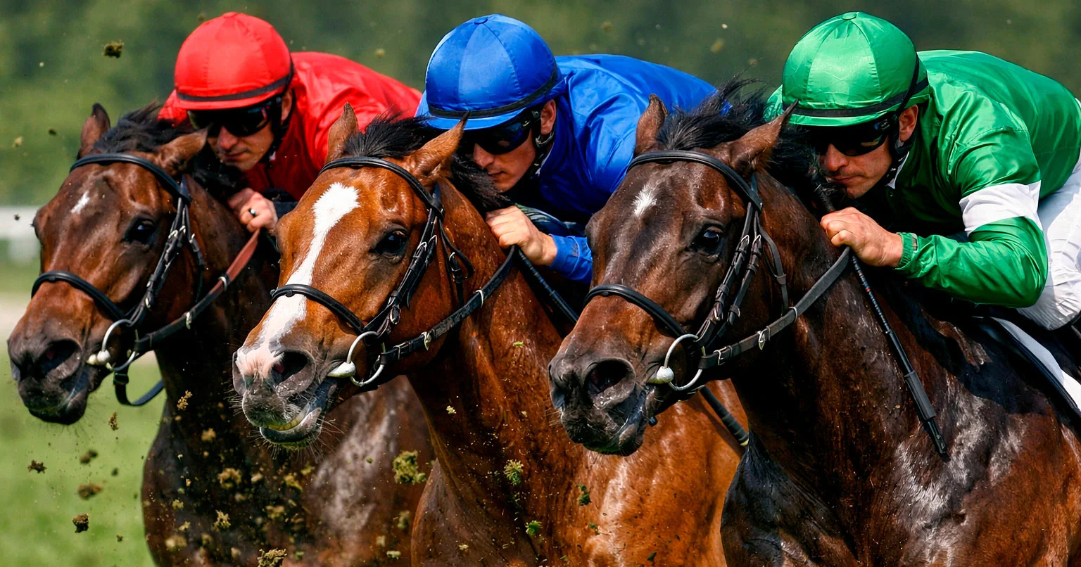 Nahaufnahme eines Galopprennens mit Jockeys in bunten Trikots